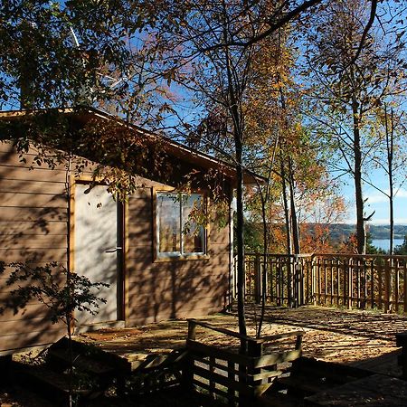 Cabanas Mas Ke Miel Población Población Lago Ranco Dış mekan fotoğraf