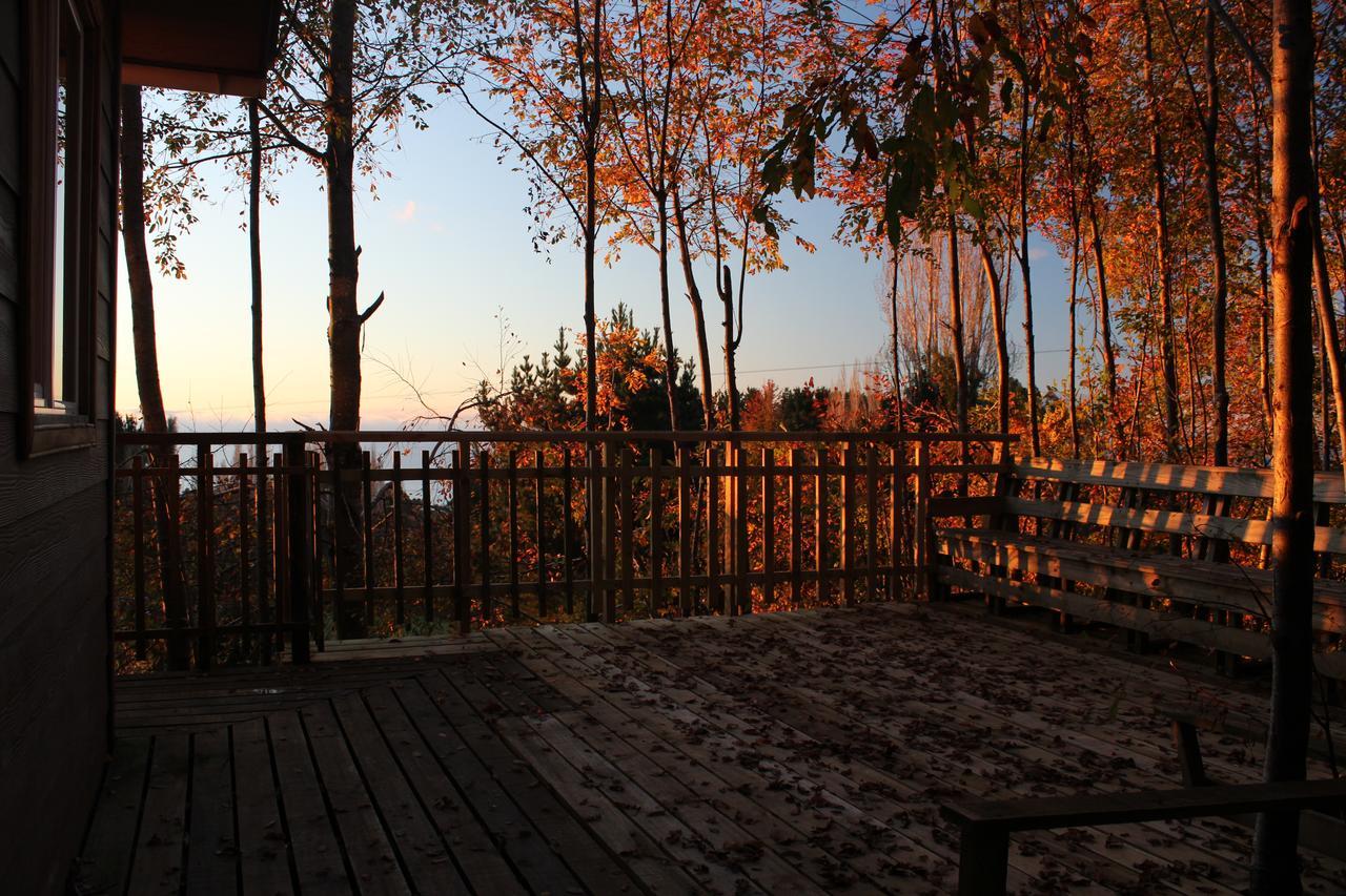 Cabanas Mas Ke Miel Población Población Lago Ranco Dış mekan fotoğraf